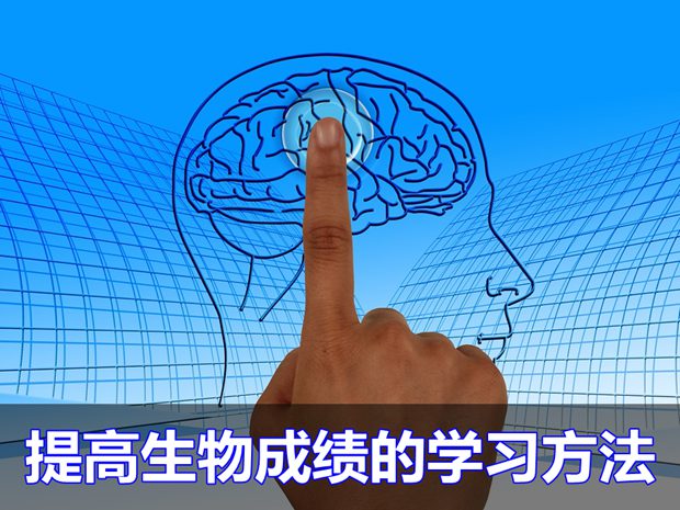 快速提高生物成绩的基本学习方法