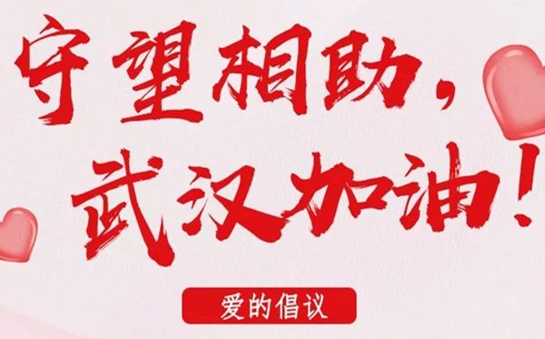 2020抗击武汉新冠肺炎小学作文300字