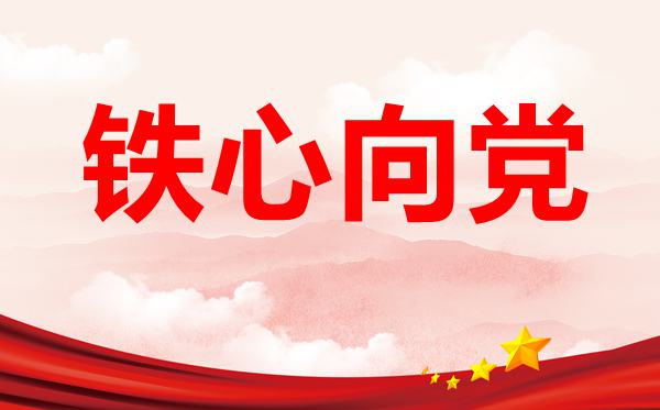 铁心向党铸忠诚心得体会范文精选5篇