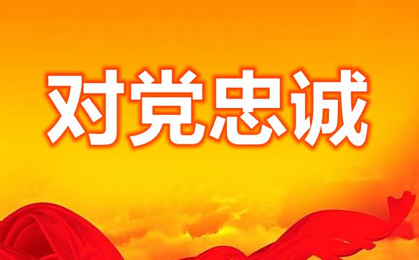 党员干部铁心向党铸忠诚心得体会范文5篇