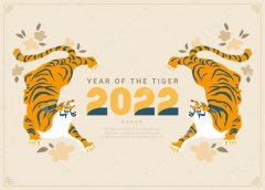 <b>2022难忘的虎年春节作文_关于虎年的寒假作文</b>