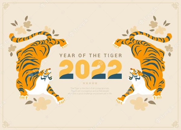 2022难忘的虎年春节作文,关于虎年的寒假作文