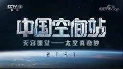 <b>小学生天宫课堂太空授课观后感作文500字5篇</b>