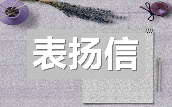 写给幼儿园老师的表扬信
