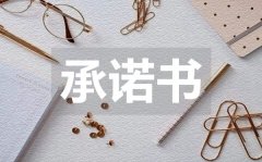 <b>药品安全责任承诺书_药品安全责任承诺书模板</b>