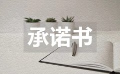 <b>党员个人岗位承诺书_党员个人岗位承诺书模板</b>