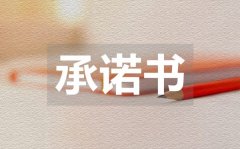 <b>禁止燃放烟花爆竹承诺书_禁止燃放烟花爆竹承诺书模板</b>