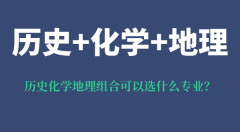 <b>历史化学地理组合可以选什么专业_有什么优势和风险?</b>