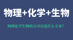 <b>物理化学生物组合可以选什么专业_有什么优势和风险？</b>