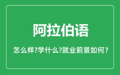 阿拉伯语专业怎么样_主要学什么_就业前景怎么样?