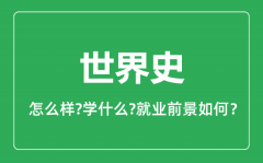 世界史专业怎么样_世界史专业就业方向及前景分析