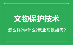 文物保护技术专业怎么样_文物保护技术专业就业方向及前景分析