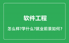 软件工程专业怎么样_软件工程专业就业方向及前景分析
