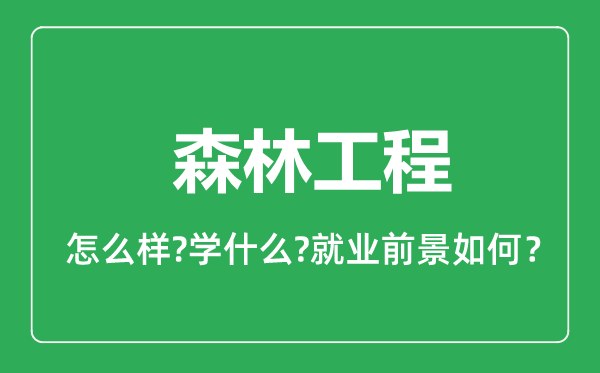 森林工程专业怎么样,森林工程专业就业方向及前景分析