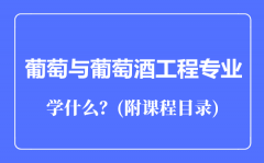 葡萄与葡萄酒工程专业主要学什么（附课程目录）