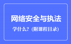 网络安全与执法专业主要学什么（附课程目录）