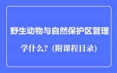 野生动物与自然保护区管理专业主要学什么（附课程目录）