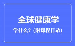 全球健康学专业主要学什么（附课程目录）