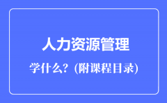 人力资源管理专业主要学什么（附课程目录）