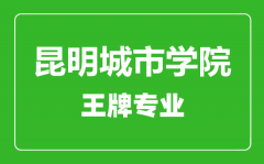 昆明城市学院王牌专业有哪些_最好的专业是什么