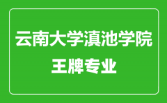 云南大学滇池学院王牌专业有哪些_最好的专业是什么