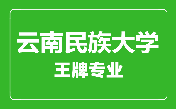 云南民族大学王牌专业有哪些,云南民族大学最好的专业是什么