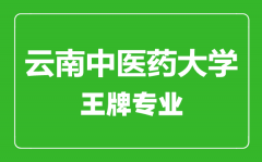 云南中医药大学王牌专业有哪些_最好的专业是什么