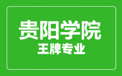 贵阳学院王牌专业有哪些_最好的专业是什么