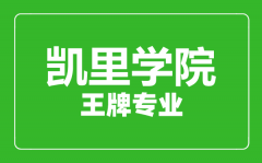 凯里学院王牌专业有哪些_最好的专业是什么