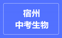 宿州中考生物满分是多少分_考试时间多长？