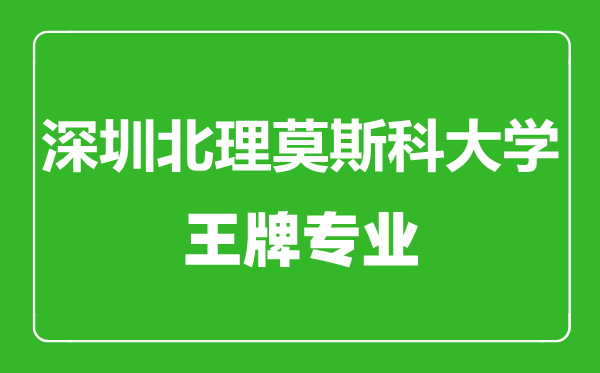 深圳北理莫斯科大学王牌专业有哪些,深圳北理莫斯科大学最好的专业是什么