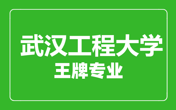 武汉工程大学王牌专业有哪些,武汉工程大学最好的专业是什么