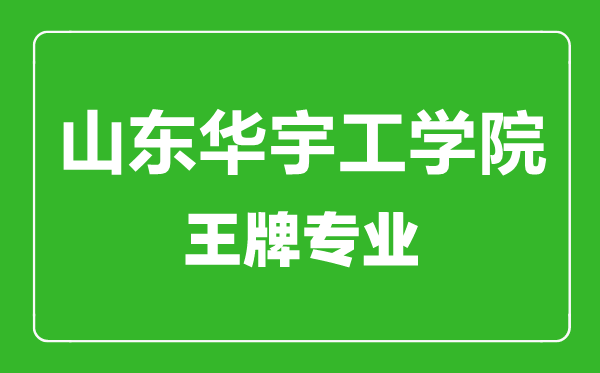 山东华宇工学院王牌专业有哪些,山东华宇工学院最好的专业是什么