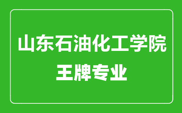 山东石油化工学院王牌专业有哪些,山东石油化工学院最好的专业是什么