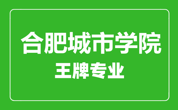 合肥城市学院王牌专业有哪些,合肥城市学院最好的专业是什么