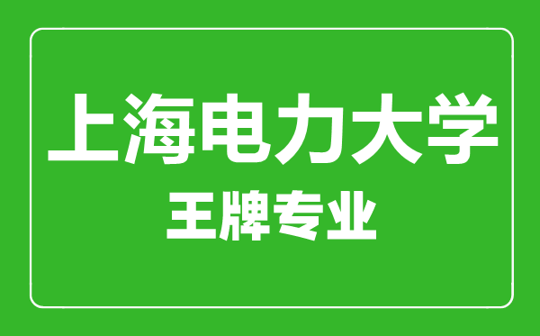 上海电力大学王牌专业有哪些,上海电力大学最好的专业是什么