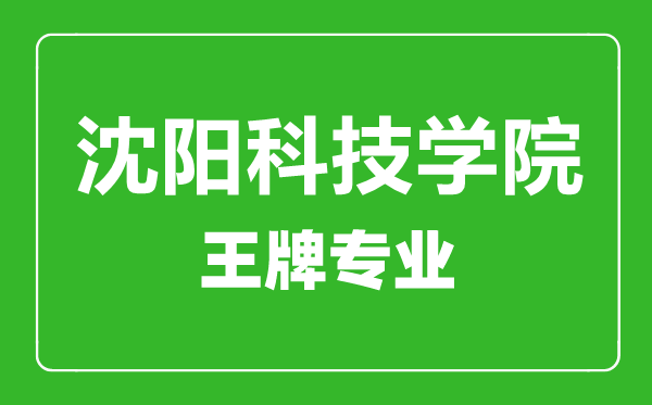 沈阳科技学院王牌专业有哪些,沈阳科技学院最好的专业是什么