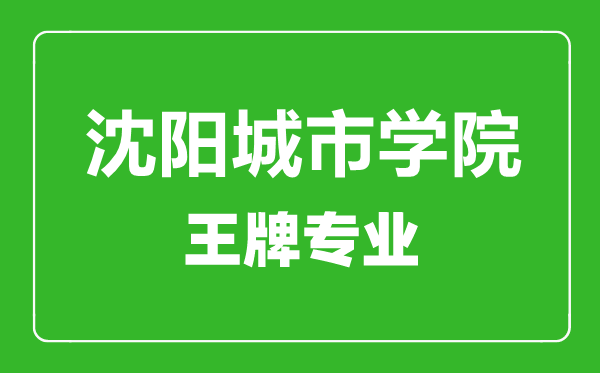 沈阳城市学院王牌专业有哪些,沈阳城市学院最好的专业是什么