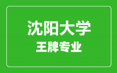 沈阳大学王牌专业有哪些_最好的专业是什么