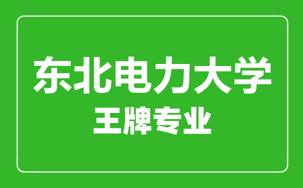 东北电力大学王牌专业有哪些,东北电力大学最好的专业是什么