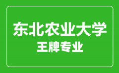 东北农业大学王牌专业有哪些_最好的专业是什么