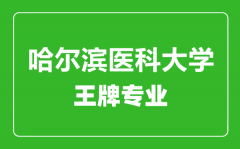 哈尔滨医科大学王牌专业有哪些_最好的专业是什么