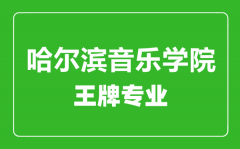 哈尔滨音乐学院王牌专业有哪些_最好的专业是什么