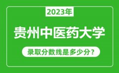 贵州中医药大学2023年录取分数线是多少分（含2021-2022历年）