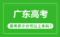 广东高考难度大吗_广东高考多少分可以上本科?