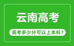 云南高考难吗_云南高考多少分可以上本科?