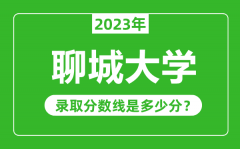 聊城大学2023年录取分数线是多少分（含2021-2022历年）