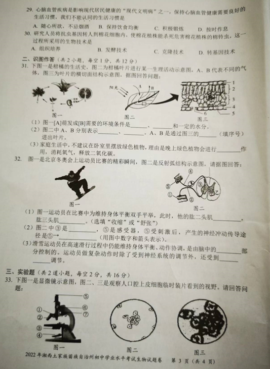 2023年湘西州中考生物试卷真题及答案