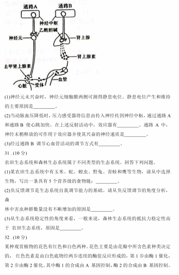 2023年高考全国乙卷理综试卷真题及答案解析(完整版)
