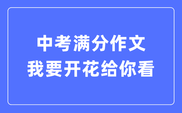 中考满分作文：我要开花给你看